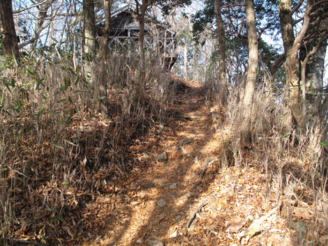 20171128hike (89)